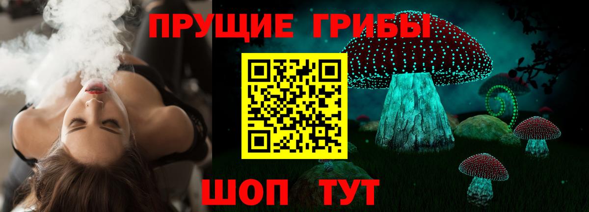 Великий Новгород  Псилоцибиновые грибы Psilocybine cubensis  цена   Вход с VPN 